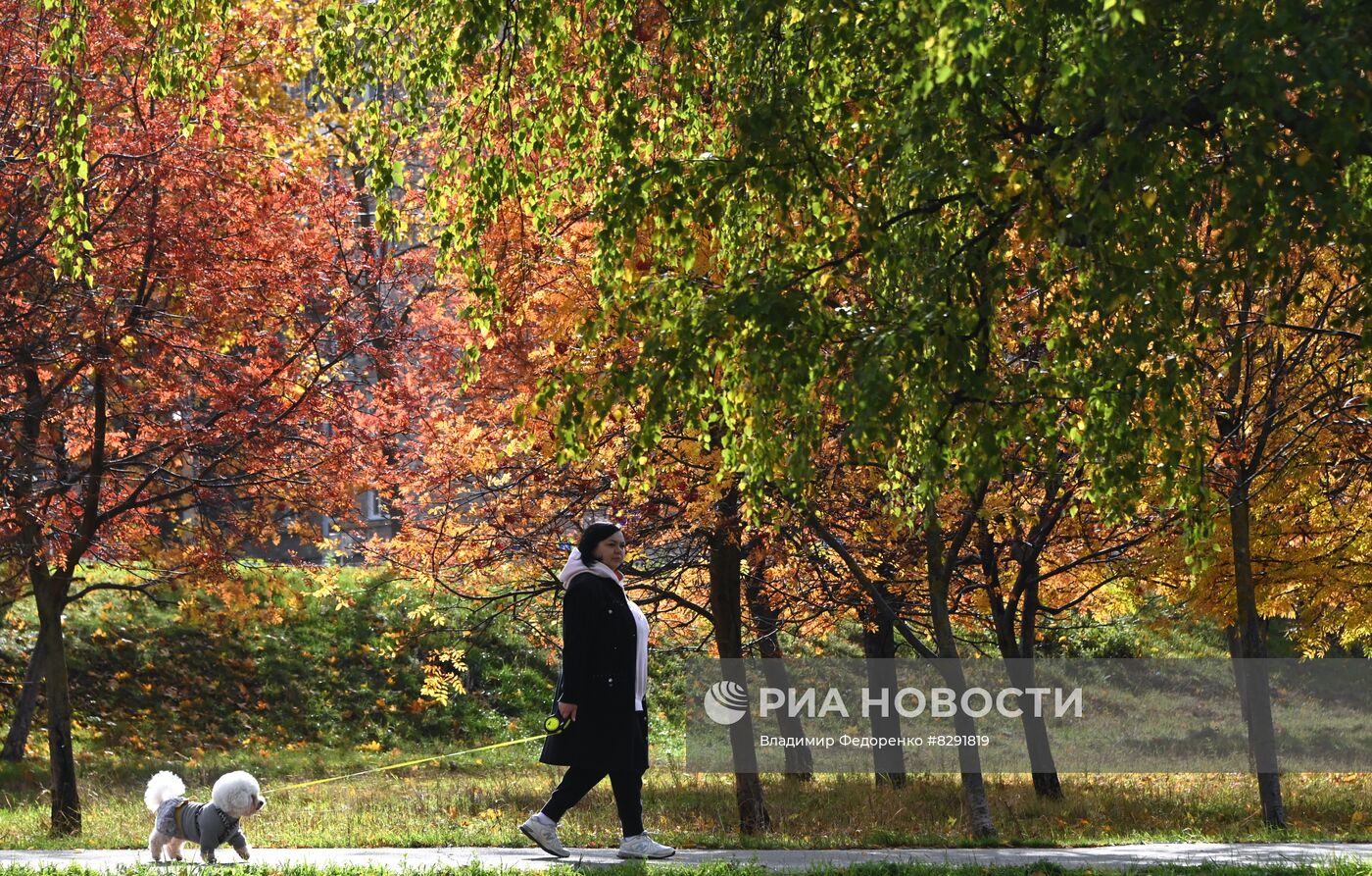 Золотая осень в Москве