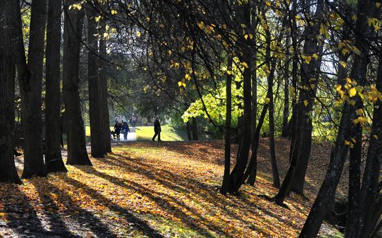 Осень в Воронцовском парке