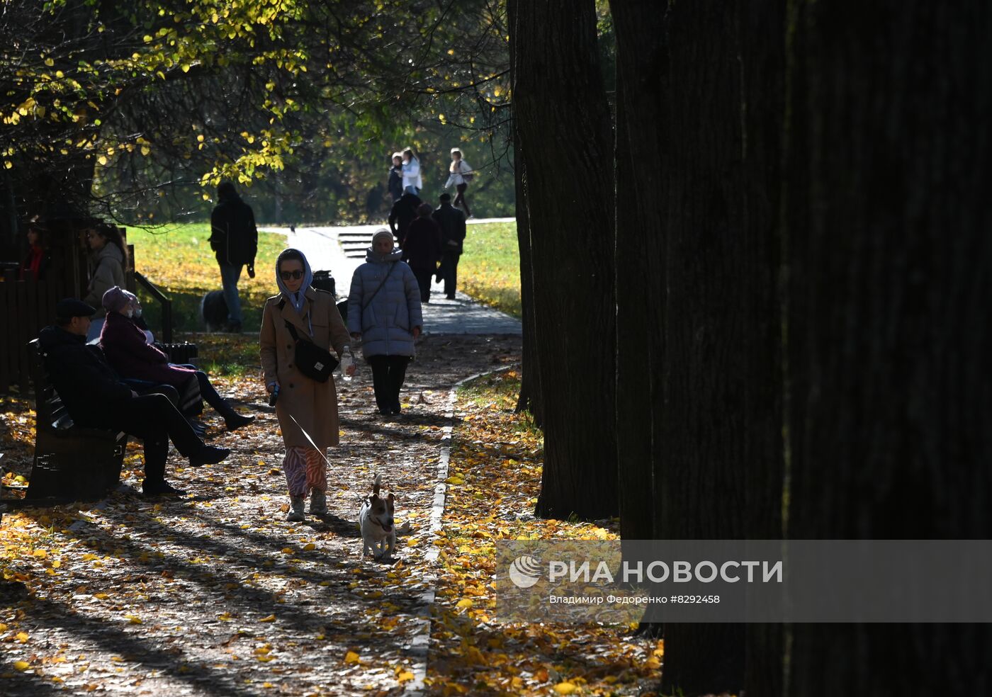 Осень в Воронцовском парке