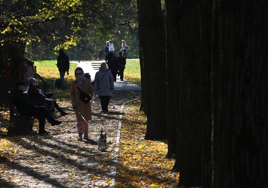 Осень в Воронцовском парке