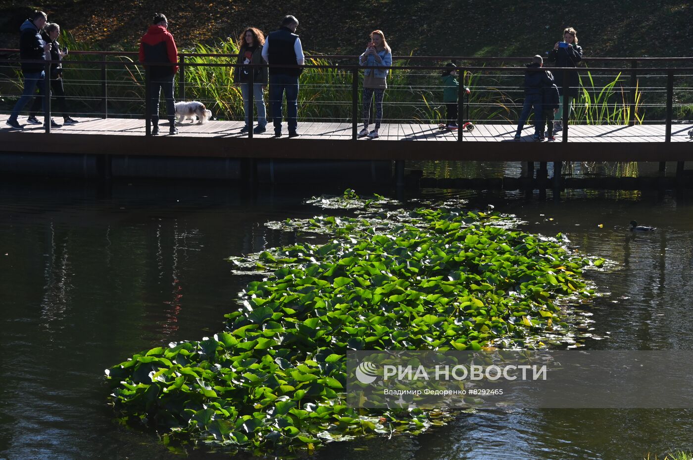 Осень в Воронцовском парке