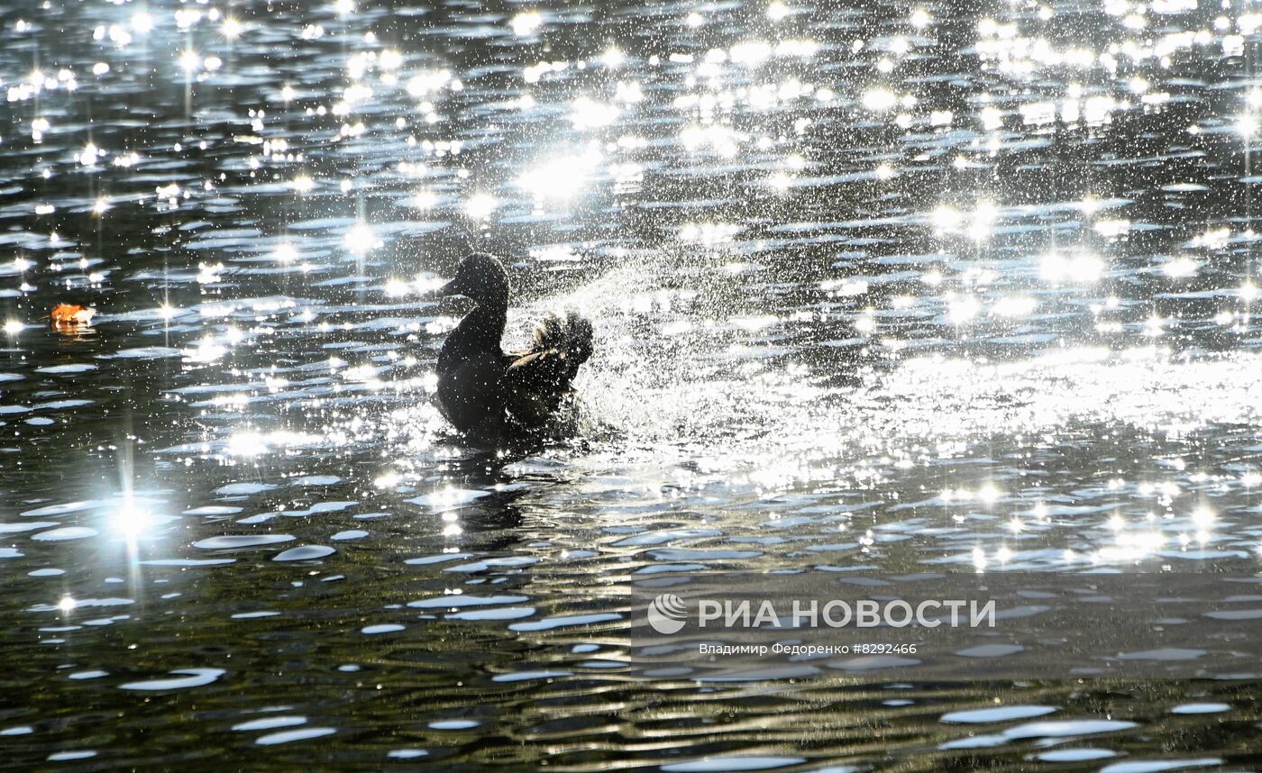 Осень в Воронцовском парке