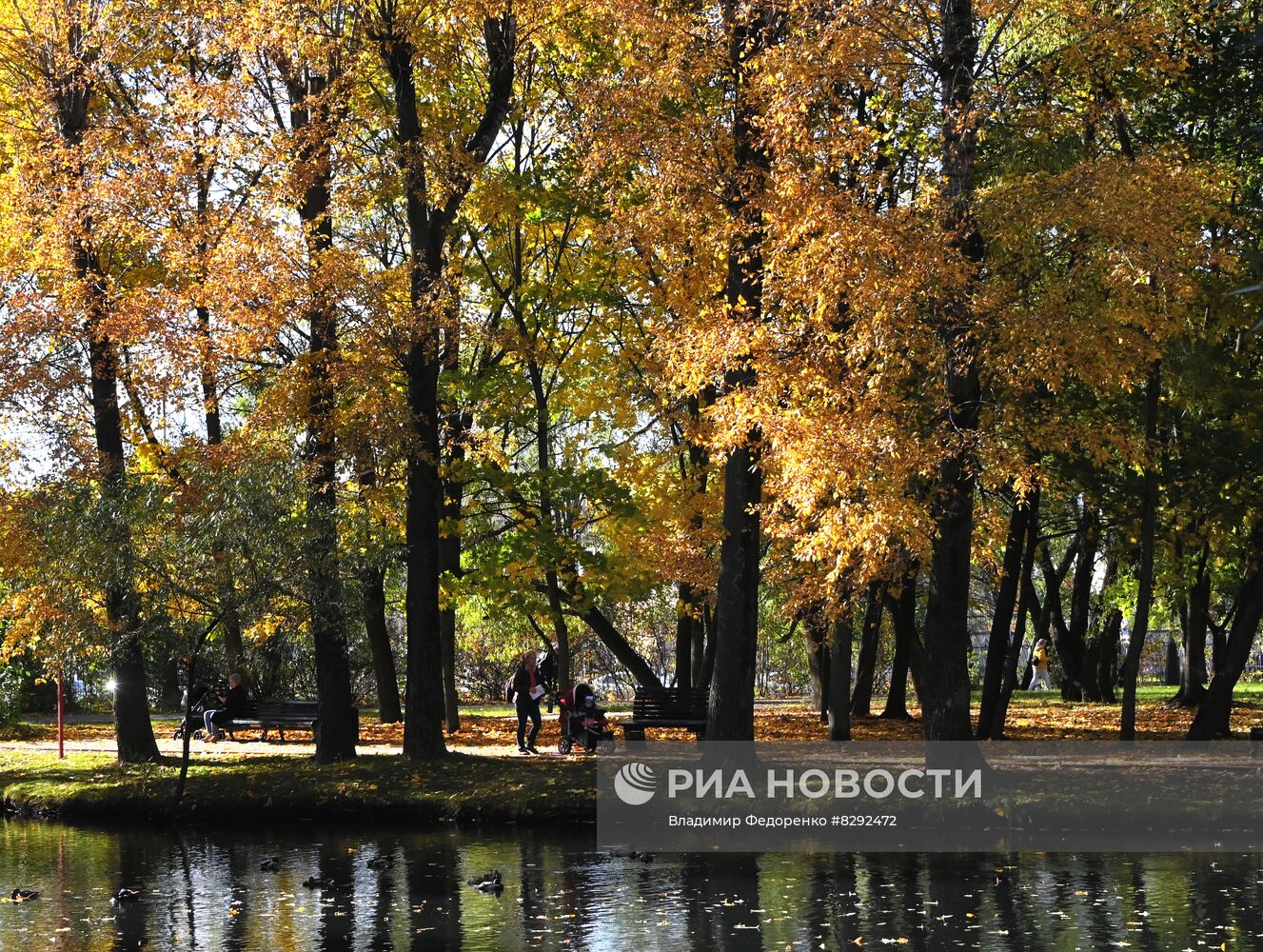 Осень в городах России