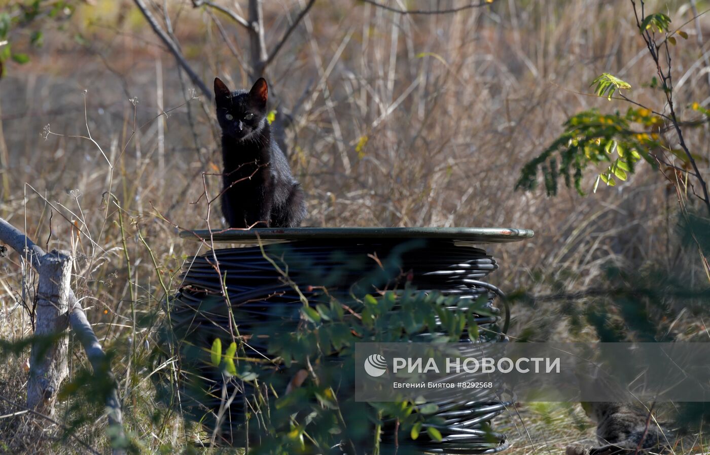 Работа российских связистов на Херсонском направлении