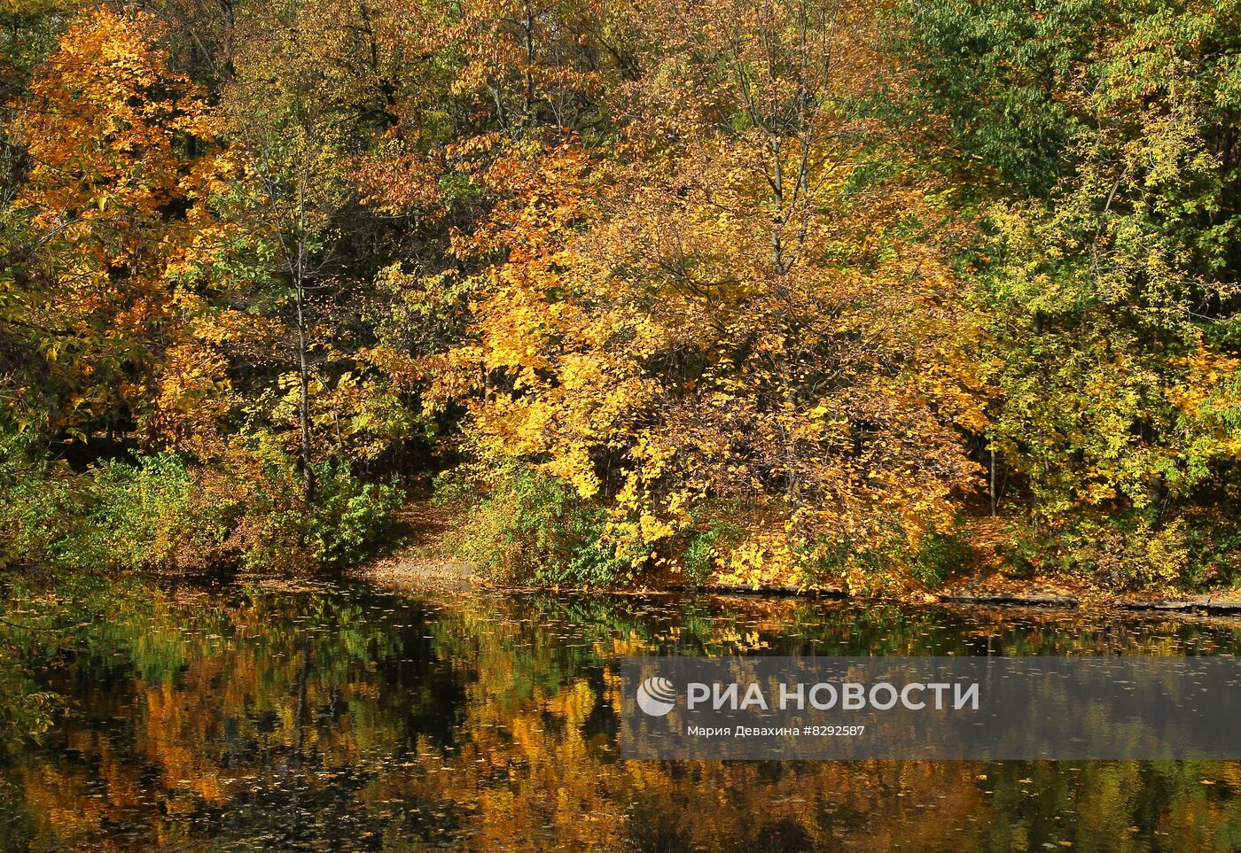 Осень в парке "Сокольники"