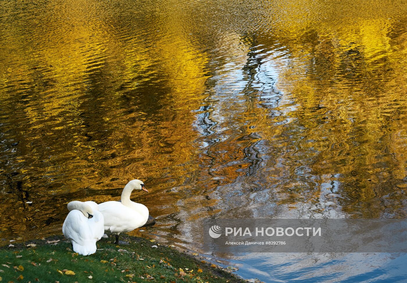 Осень в городах России