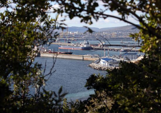 Транспортировка нефти в Новороссийске