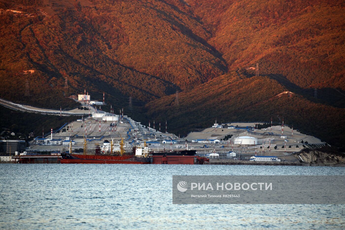 Транспортировка нефти в Новороссийске