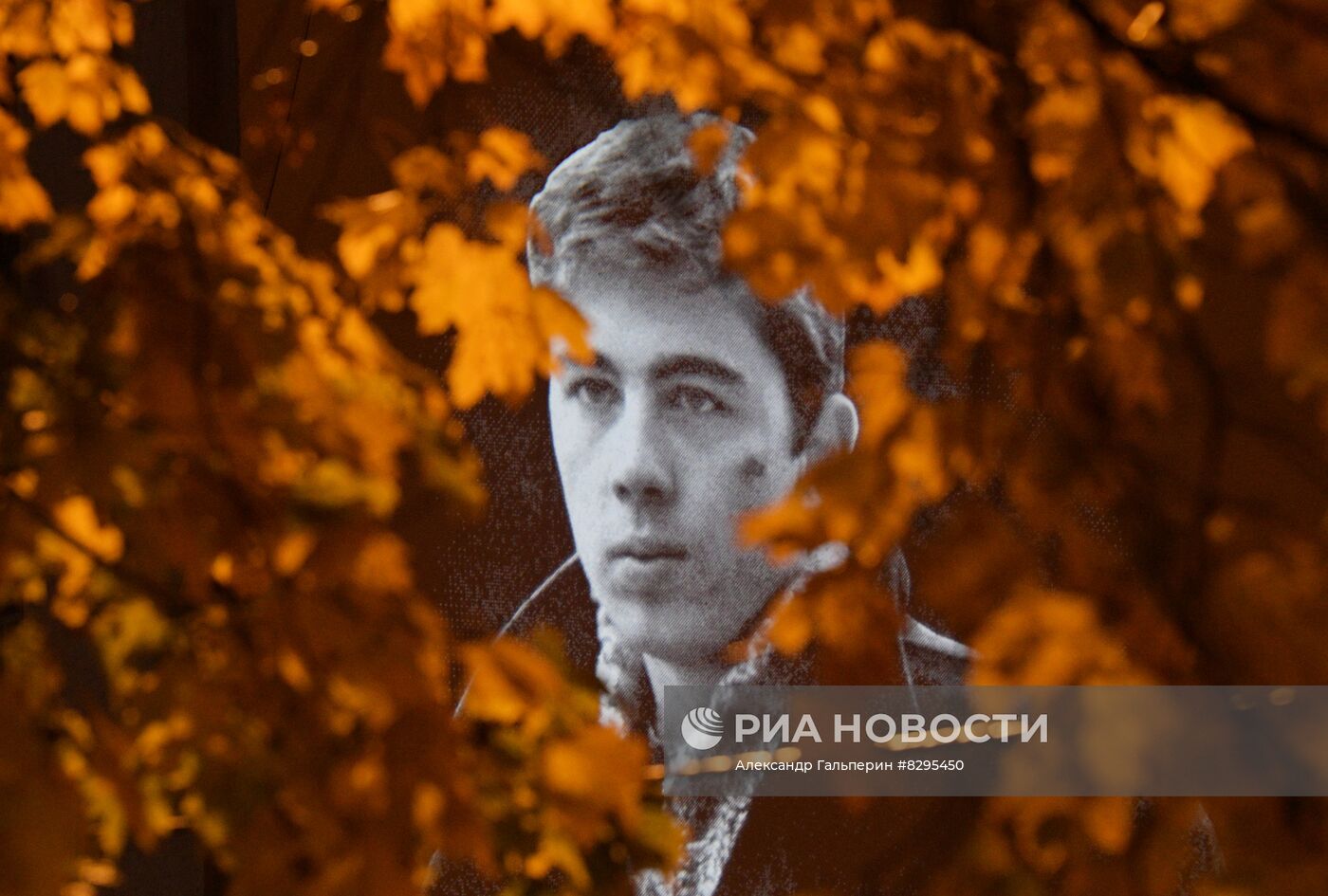 Проекции портретов С. Бодрова и А. Балабанова в Петербурге