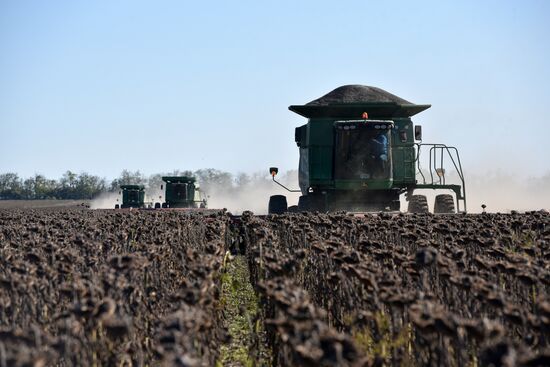 Осенние полевые работы в ДНР