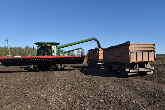 Осенние полевые работы в ДНР