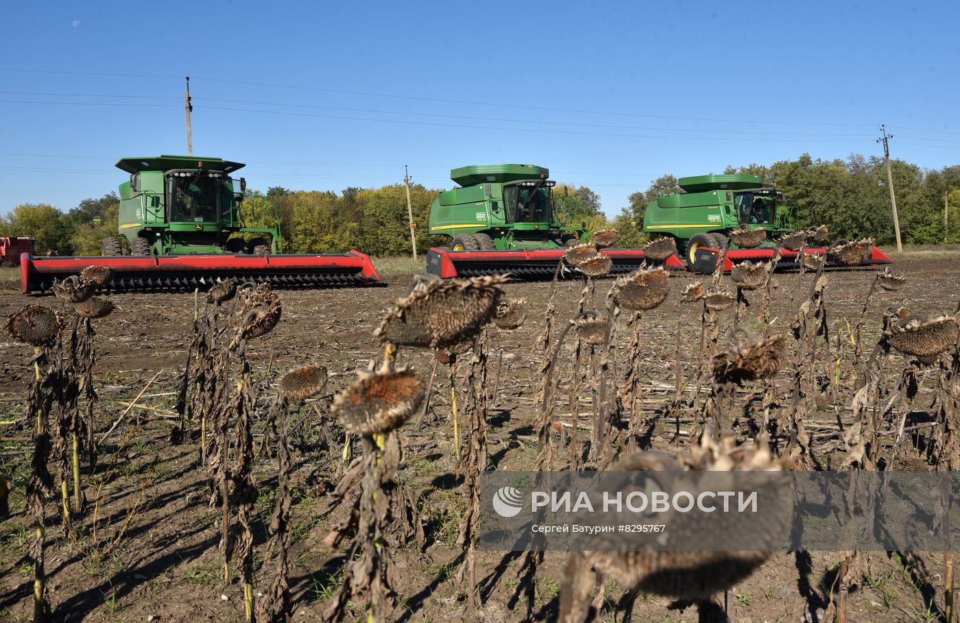 Осенние полевые работы в ДНР
