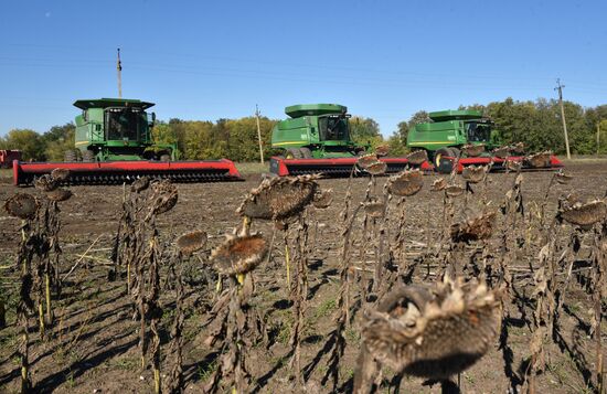 Осенние полевые работы в ДНР