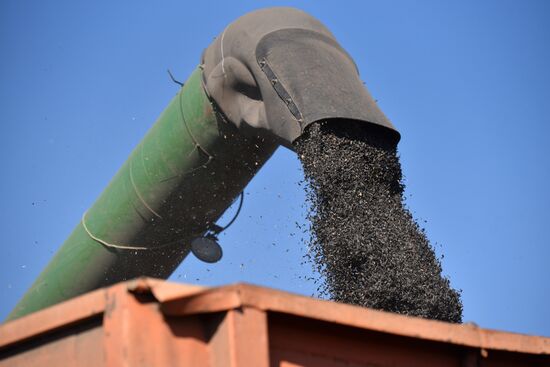 Осенние полевые работы в ДНР