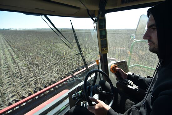 Осенние полевые работы в ДНР