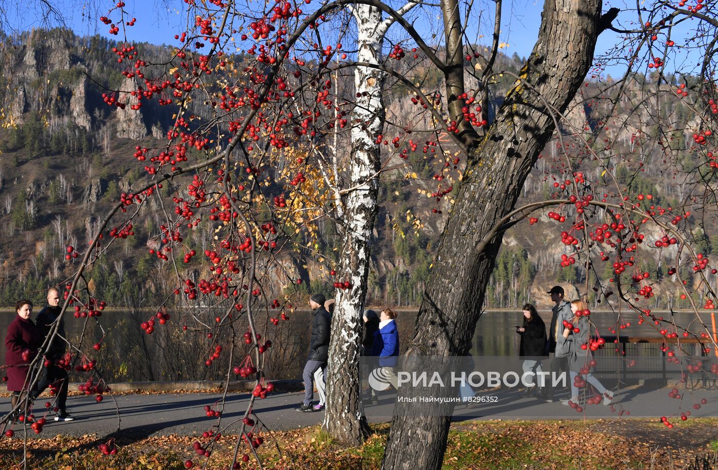 Отдых горожан в новом "Милицейском парке" в Дивногорске