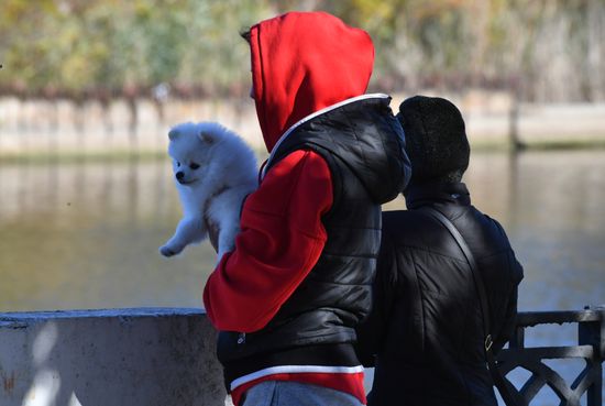 Повседневная жизнь в городе Энергодар