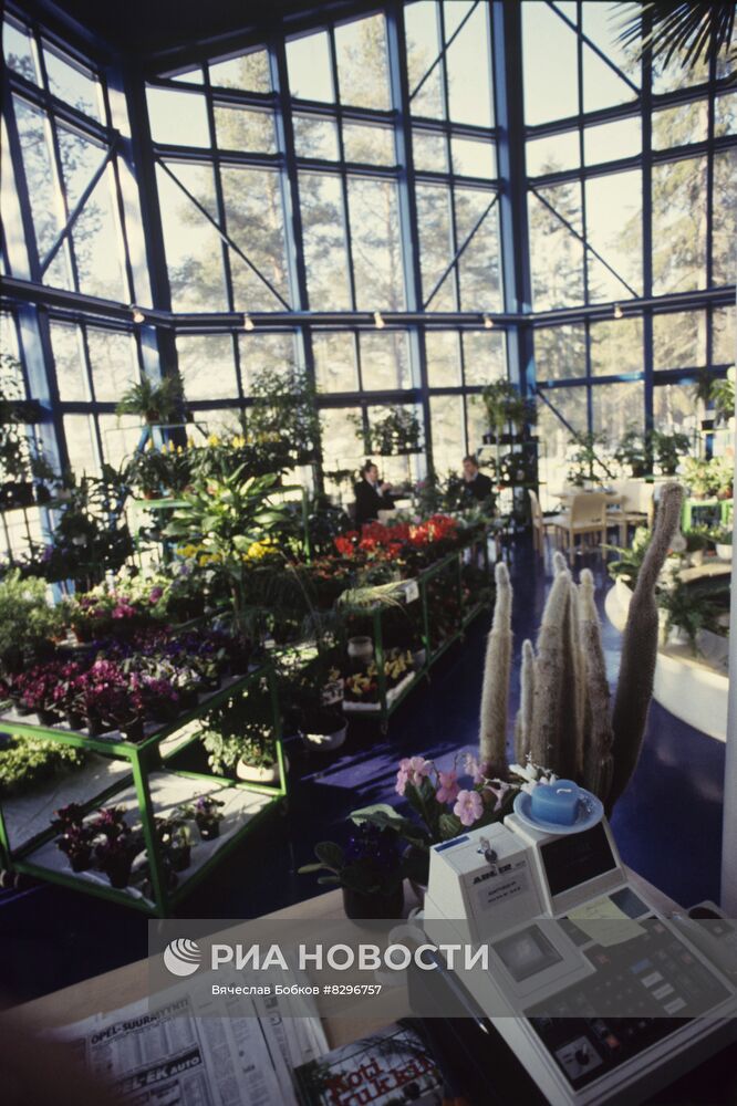 Оранжерея в Лапландии