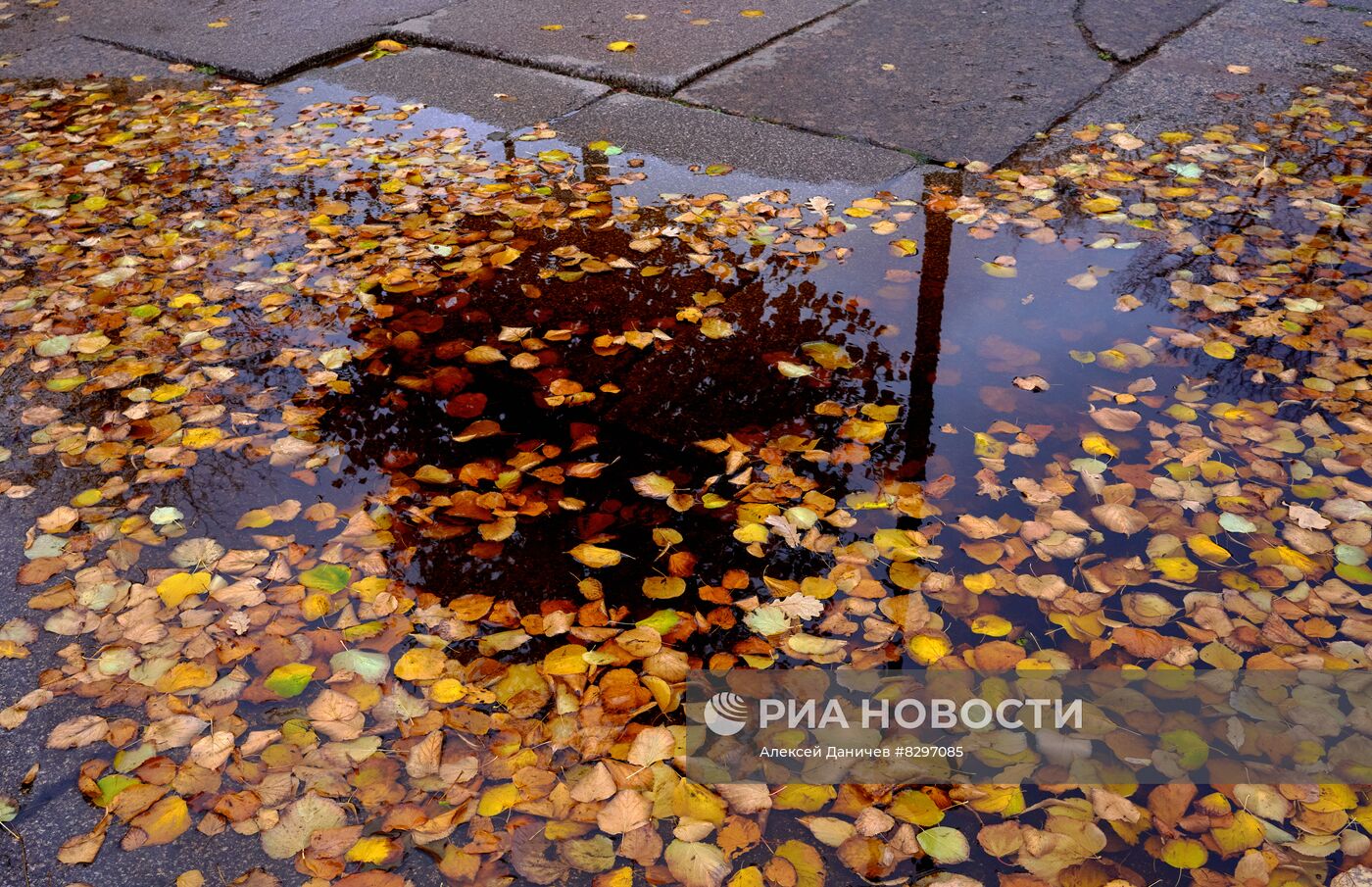 Штормовое предупреждение в Санкт-Петербурге