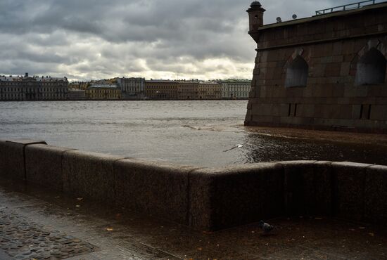 Штормовое предупреждение в Санкт-Петербурге