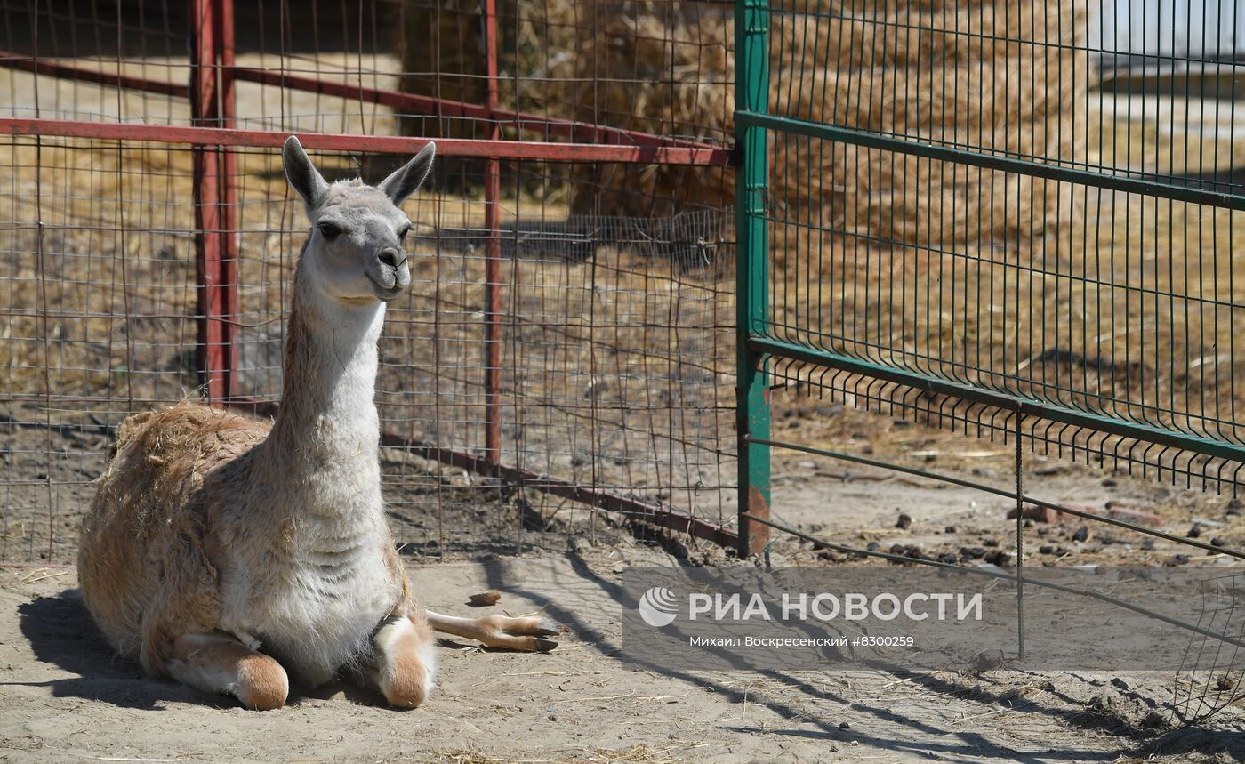 База отдыха "Посейдон" Темрюкского района