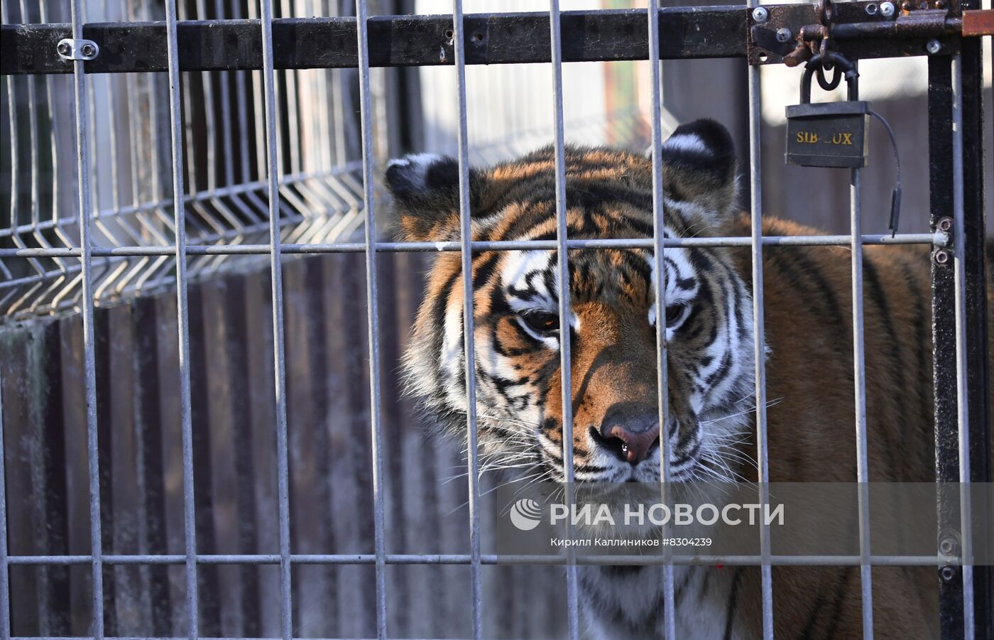 Центр реабилитации диких животных