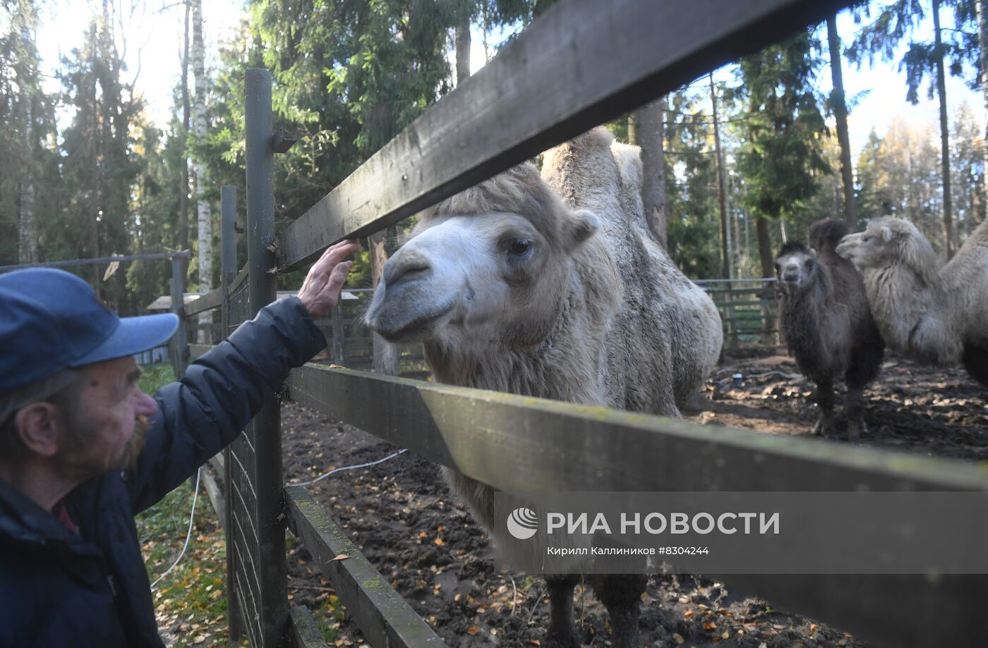 Центр реабилитации диких животных