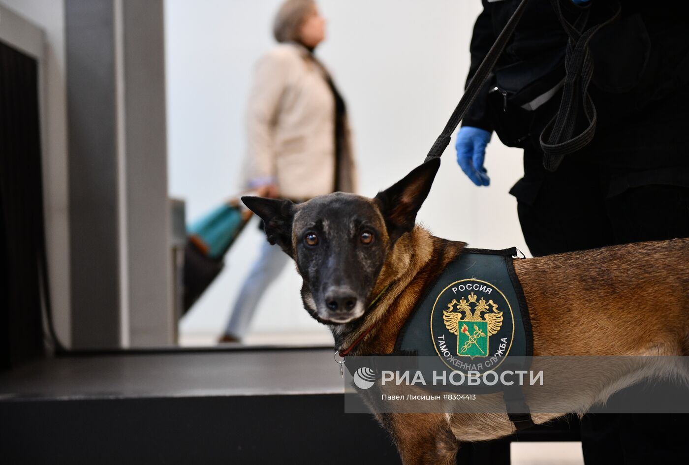 Работа таможни в аэропорту Кольцово