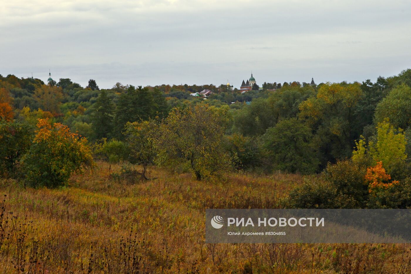 Вид на город Зарайск