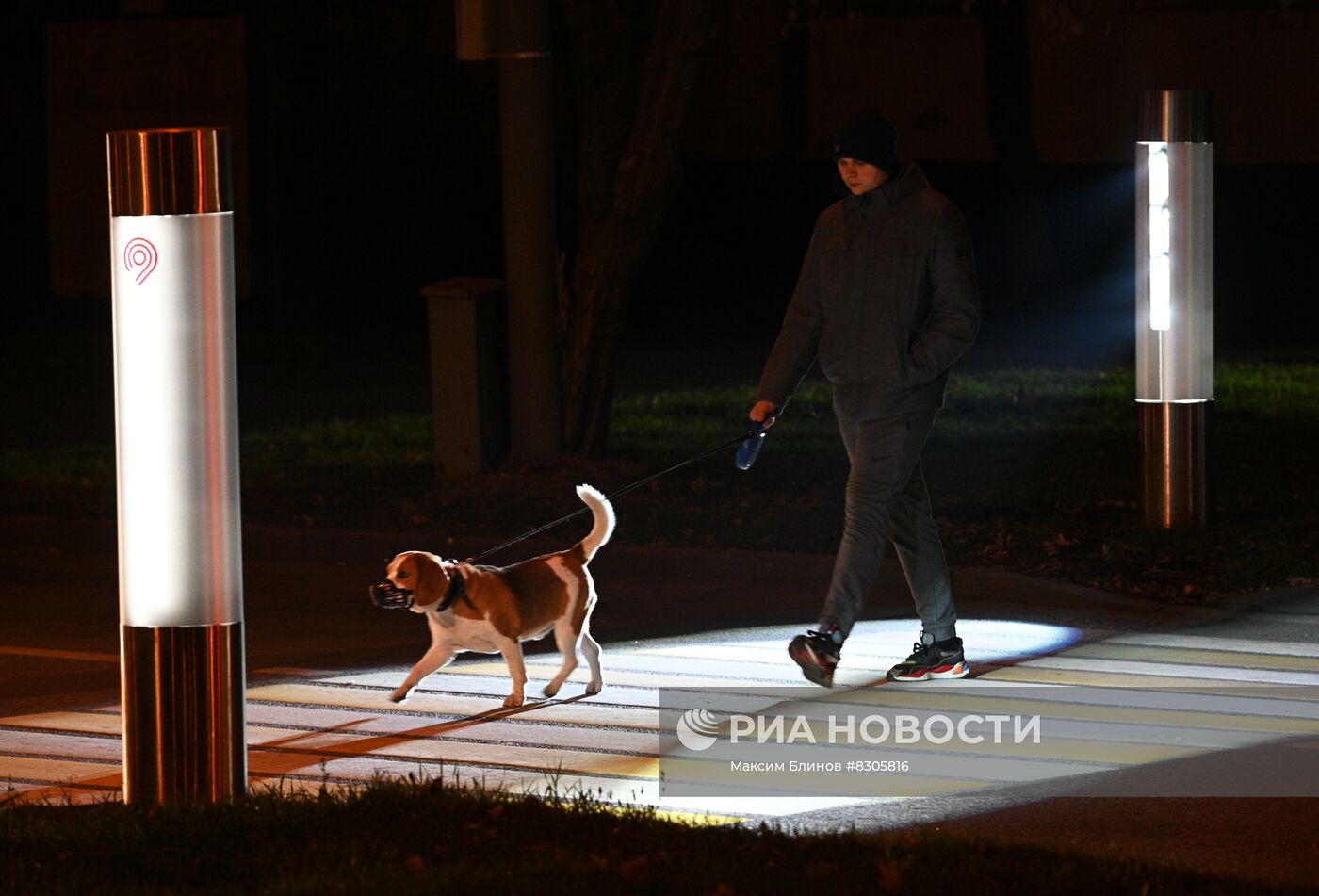 Новый тип подсветки пешеходного перехода установили в Москве