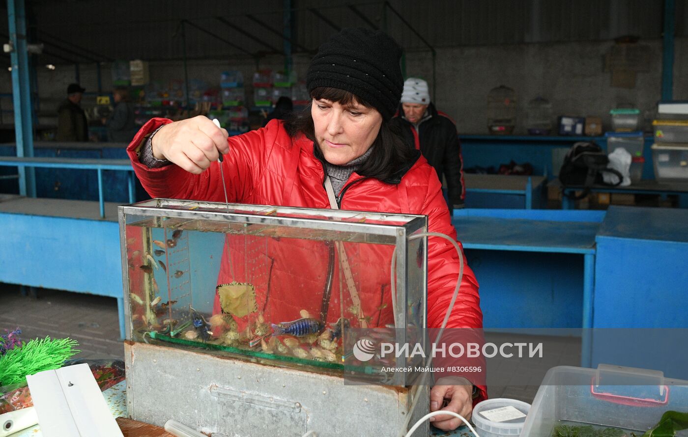 Центральный рынок в Донецке