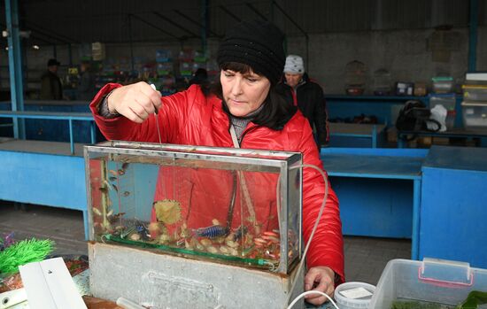 Центральный рынок в Донецке