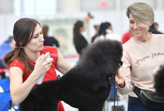 Национальные выставки собак-2022 в Казани