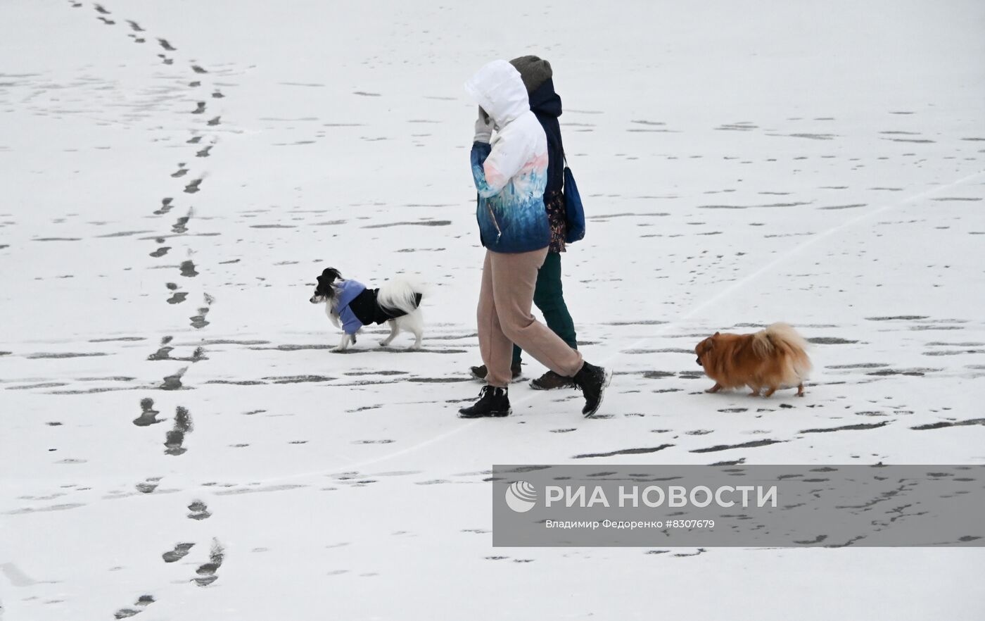 Снег в Москве