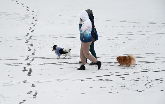 Снег в Москве