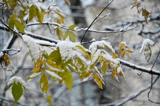 Снег в Москве