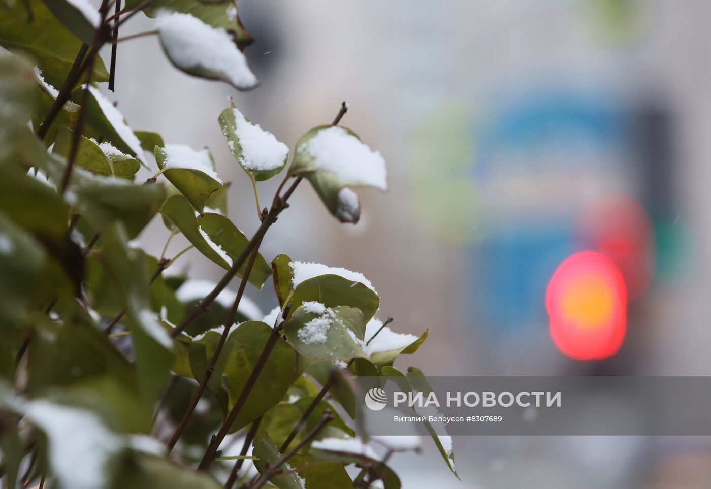 Снег в Москве