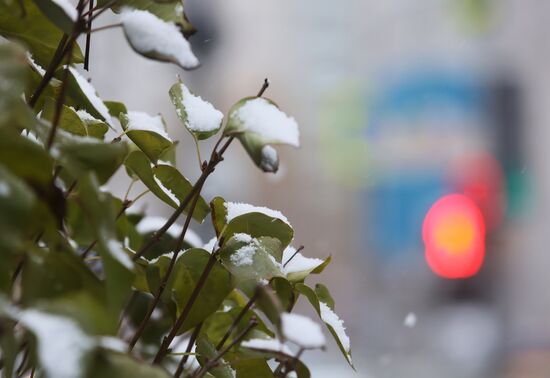 Снег в Москве