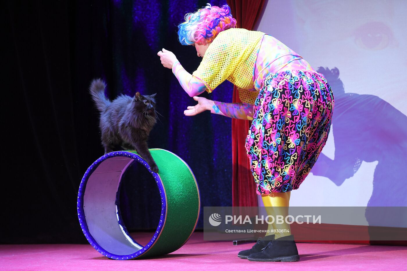 Спектакль "И станет мир добрее" в театре кошек Куклачева
