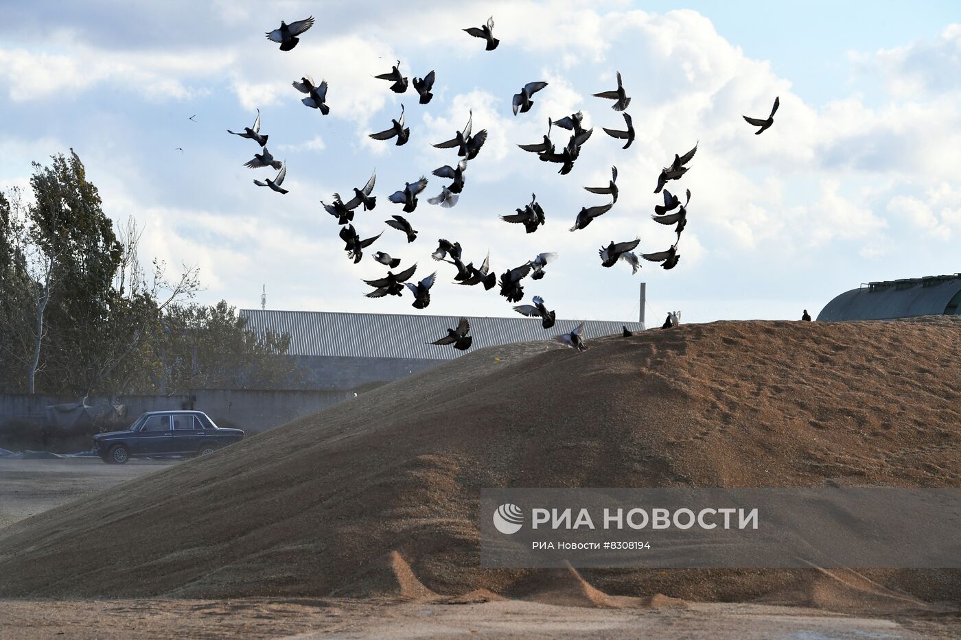 Пункт разгрузки зерна в Мелитополе