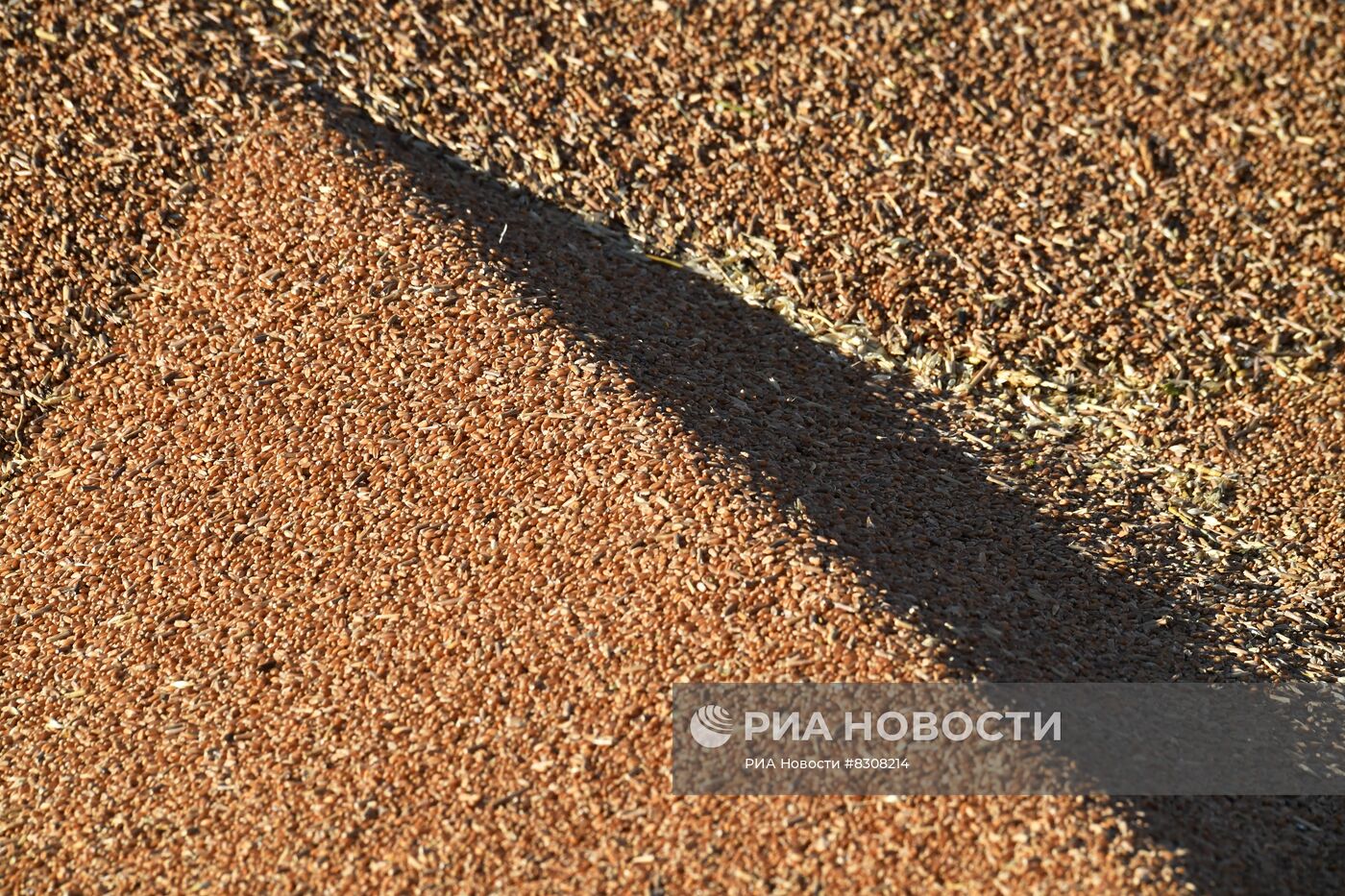 Пункт разгрузки зерна в Мелитополе