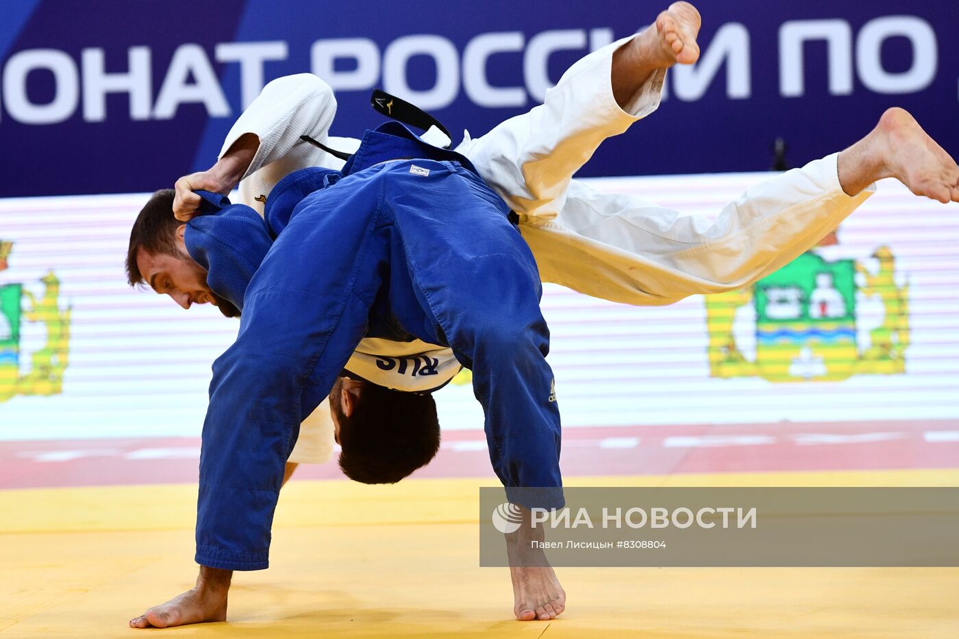 Дзюдо. Чемпионат России