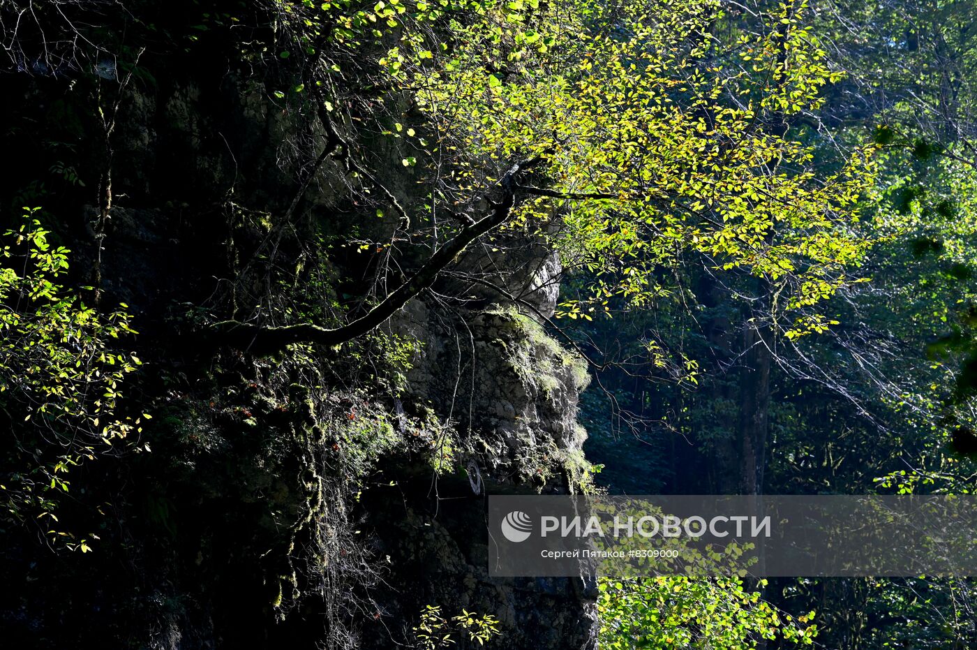 Регионы России. Краснодарский край. Апшеронский район