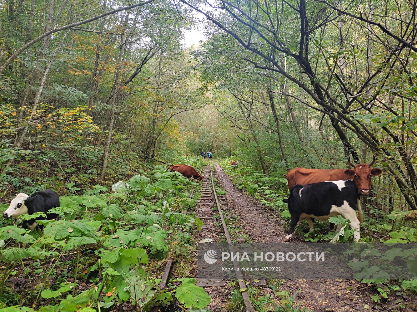 Регионы России. Краснодарский край. Апшеронский район