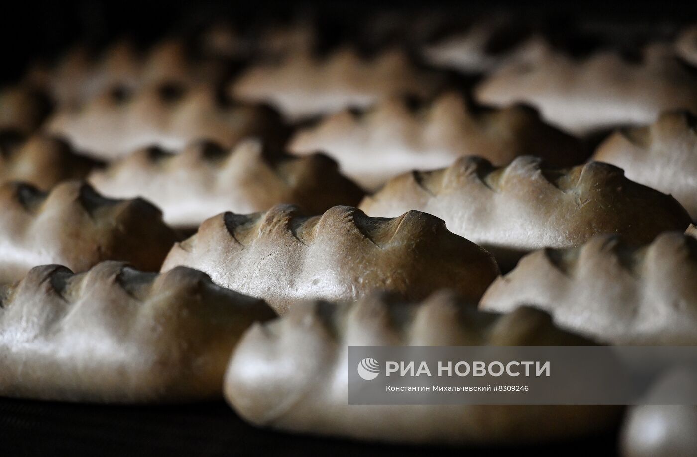 Работа Бердянского хлебокомбината