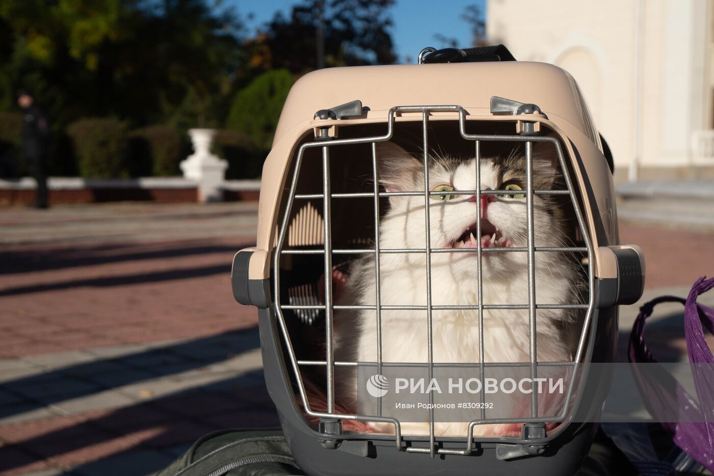 Эвакуация жителей Новой Каховки