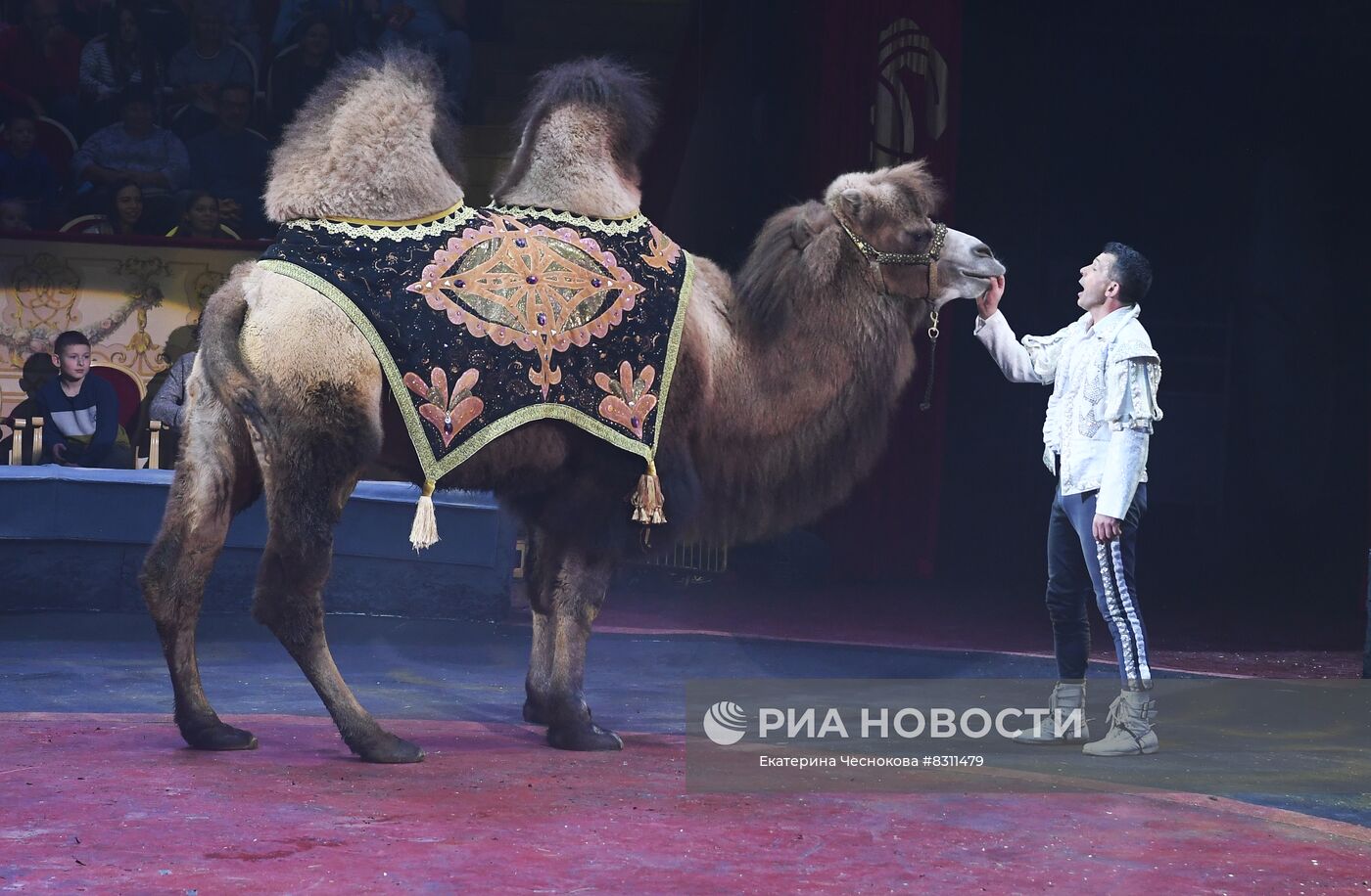 Первый Международный фестиваль циркового искусства "Без границ"