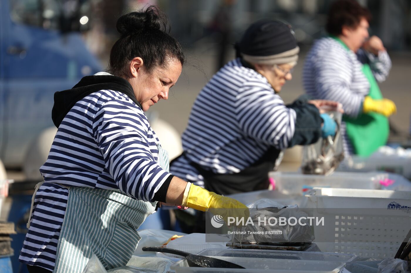 Фестиваль "Хамса" в Новороссийске