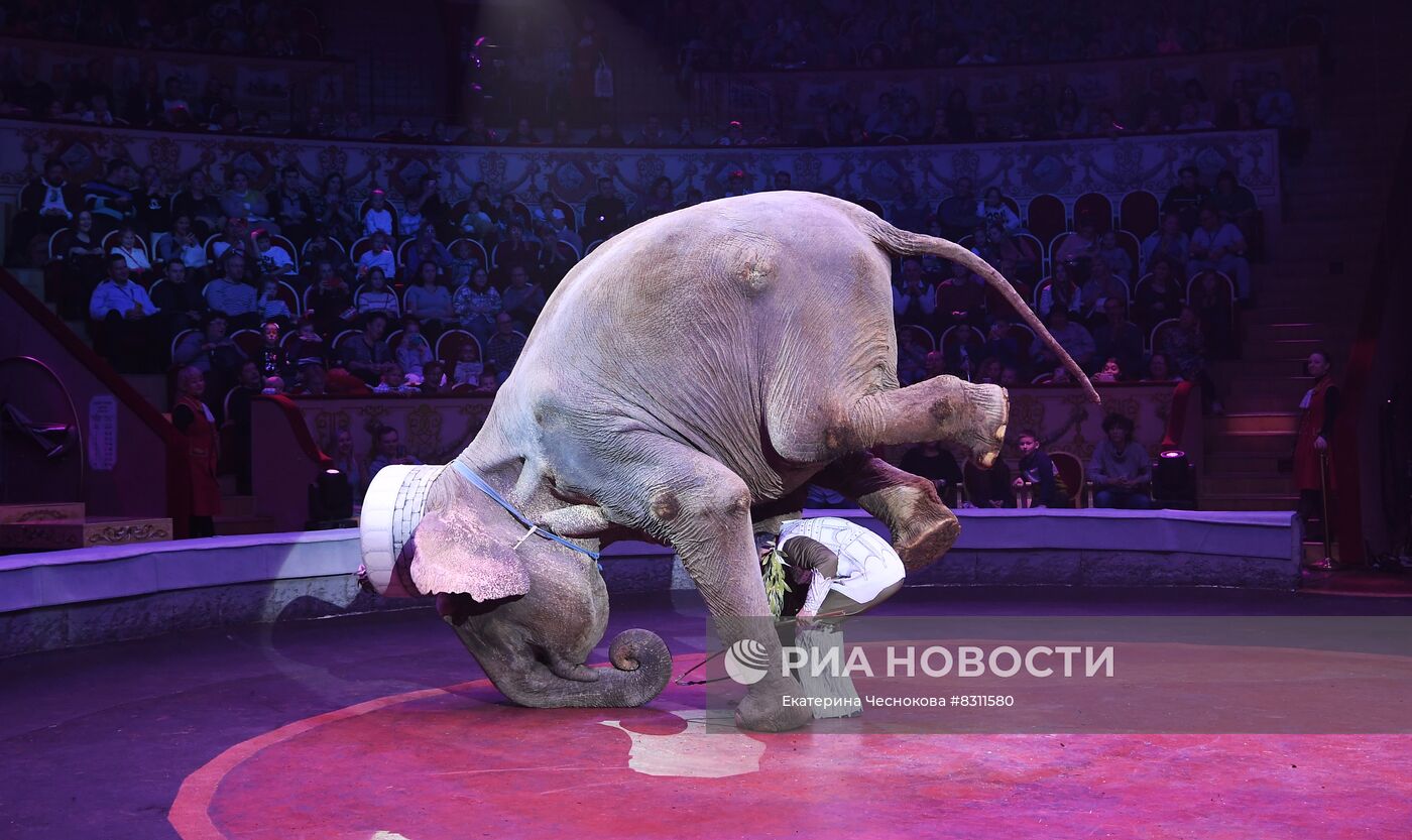 Первый Международный фестиваль циркового искусства "Без границ"