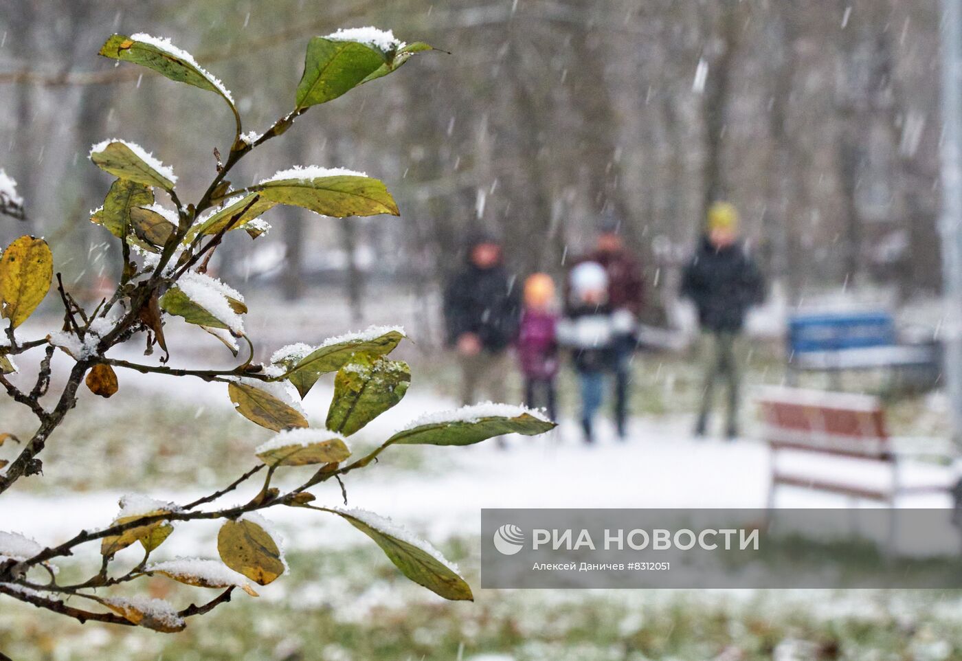 Снег в Санкт-Петербурге